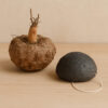 Konjac spons Houtskool
