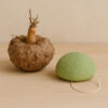 Konjac spons Houtskool