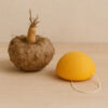 Konjac spons Turmeric