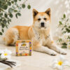 Hond & Paard Shampoo