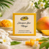 Shampoo Bar Winter Wonder